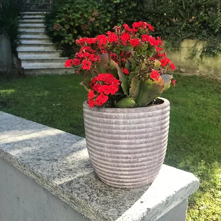 Casa Deni Con Giardino Privato Apartment